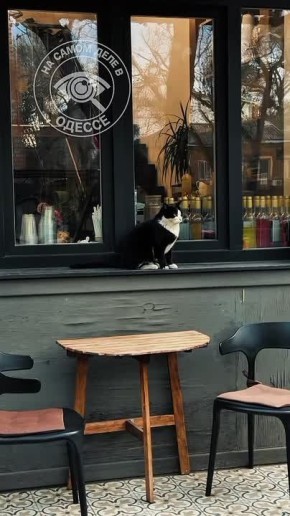 ������-����, ������ ����. ��� ��������� �������������: