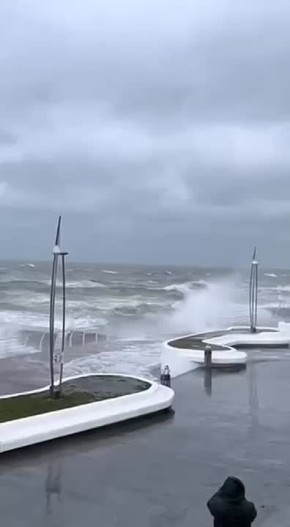 ��������� ����� �� 20 � / � ��������� � ������