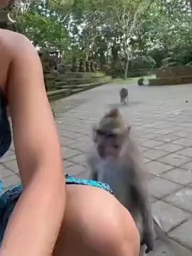 �� ���� ������� � ������� ����� ��������� � ���������