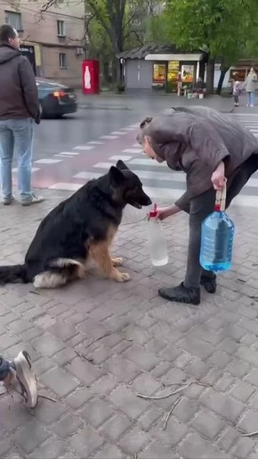 � ������ ������ �������� ������� ������� ����