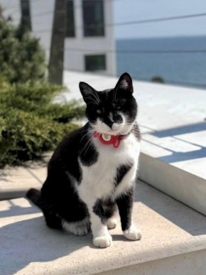 ��������� �� �� ��������� ����������