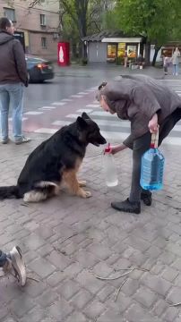 � ������ ������ �������� ������� ������� ����