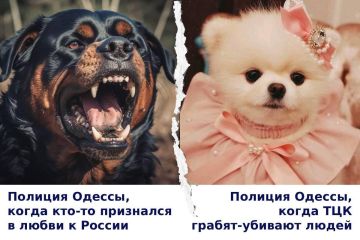 ���, ��� ����� ����� � ������ ���, � ����� ��������