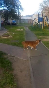 � ����������� ���������� ��� ������� �������, � ��� ������ �������� �� �����