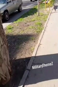 � ������ �������� ���� ����������� �����