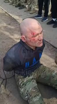"��������" 15�� ���� ��� ����� ������ ���������� ��� ��������������