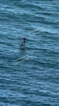 �� ������ ������� ����������, � � ������ ��� ������ ������