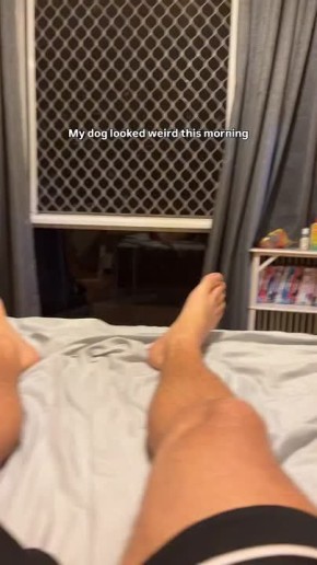 �����������, �� ���������� � ������� ����� ���������� ����� �����