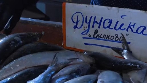 "Живое серебро" Одессы: что отчасти роднит Южную и Северную Пальмиры