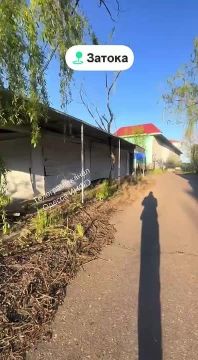 ���������� � ������ � ������ ������