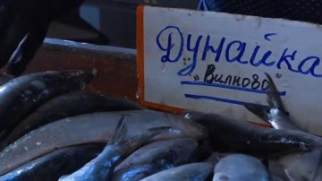 "Живое серебро" Одессы: что отчасти роднит Южную и Северную Пальмиры