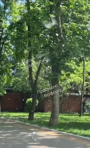 � ������ ����� ������� ��������� ���