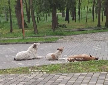 � ������ �������� ����� ������