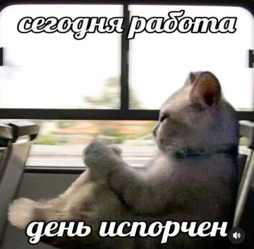 ������������ � ��� �����. � ��� ���� �������, �� ����� ������ � ������! �� ������ ������������? ���� ��, �� �� ���? ������� ������ � Telegram