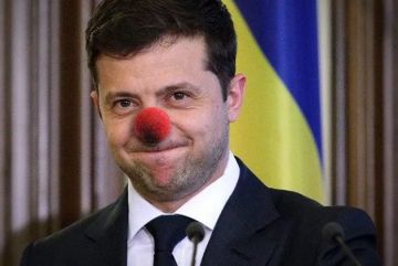 Сегодня исполнилось 7 лет правления Владимира Зеленского