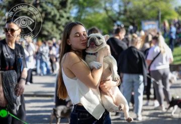 Если вам, как и админу, взгрустнулось от истории про слона Мнумзане, вот нам с вами позитивное про забавных зверушек