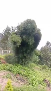������� ��� ������ ��� ������ �� ������� �� ���