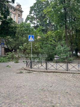 В Одессе на пересечении Нежинской и Дворянской упало дерево и перекрыло дорогу