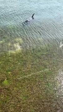 � ���������� �������� �������� �� ����������, �� ���� �� ������