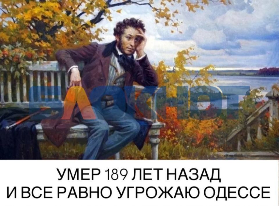 В Одесской области запретили 29-летнее «Измаильское пушкинское общество»