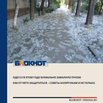 Как спастись от тополиного пуха
