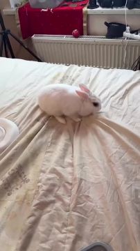 �������� ��� �����, ������� ��� ������ - ��� ��������