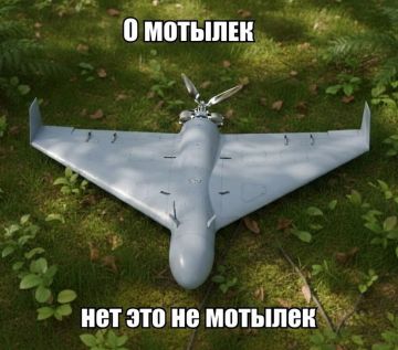 Как одесситы воспринимают дроны