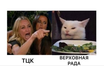 � ��������� ���� ���������� ������ �� �����������