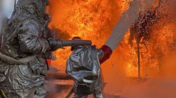 "Мы должны действовать асимметрично": Кнутов о том, как осложнить жизнь киевскому режиму