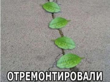 ����� ������ ������ �������� ������� � �������, �� ������� ������������� �����