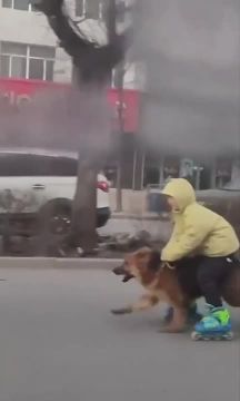 ������� �� ����� ����� ��������� ������ �������� � �������