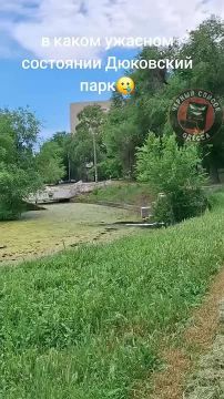 Жители Одессы показали печальное состояние Дюковского парка