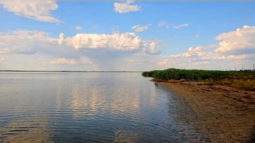 В селе Калиновка женщина умерла, спасая ребёнка