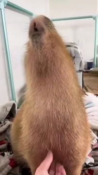 ������ �� ������ ���������, � �� ��� ��� ��� ��!