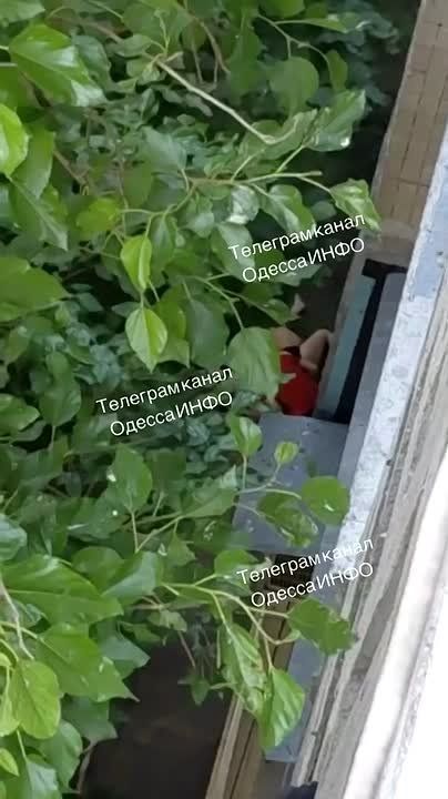 Жесть в Одессе: 16-летняя беременная девушка погибла, выпав из окна