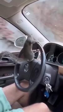� ����� ��������� ������ ������� ����� ����������