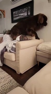 �� ��� ������, ��� �� � �����