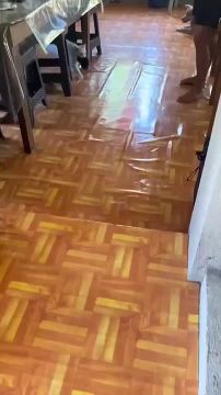 Минутка милоты из Одессы. На Молдаванке семейный вопрос вышел из-под контроля - две кошки родили котят практически одновременно и теперь не могут разобраться де чей котёнок