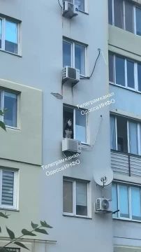 � ������ ��� ����� �� ����