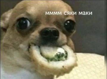 � ������ ������ ����� ���� ������ �������