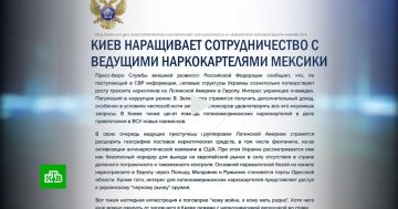 ���: ������� ���������� �������������� � ����������� �������������� �������