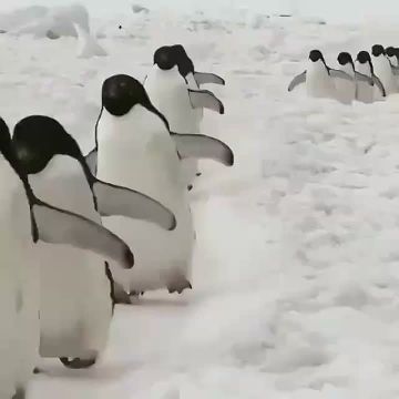���� ������������ � �������� �������� ��� �� �����, ��� �� ������