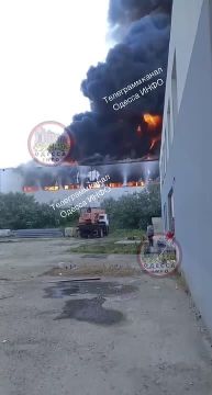 Нанесен удар по заводу "Сніжна Панда" в Одесской области: предварительно, есть погибшие среди сотрудников предприятия