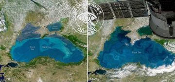 И вовсе оно не Чёрное…. Спутник NASA PACE запечатлел из космоса акваторию Чёрного моря