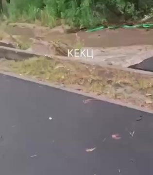 ����� �������� ����� � ����� ������� ����� ������������ ������� ��������