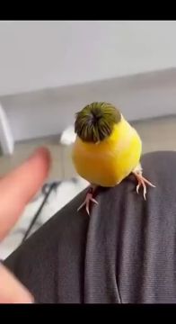 � ���� ���� ���� ���� ����