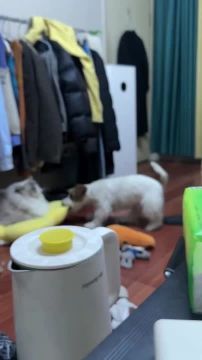 ������ ����, ������!. � ����� ��� �������� ������� �� ��� ���� � ��� ������� ��? ����������� ������� ��� ���������� ������? ������� ������ | �������� ��� � Telegram