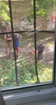 �� �������� ������� �������� ������ �������� ��� ����
