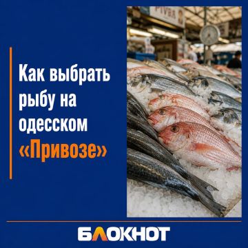 ��� ������� ���� �� �������� ��������