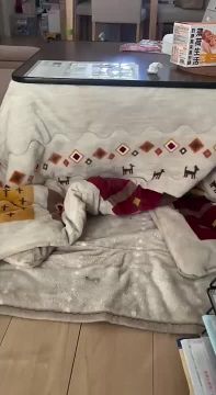 ��� �����?!. � ��� �� - ���������� � �� ��� ������ ������� ������� �������